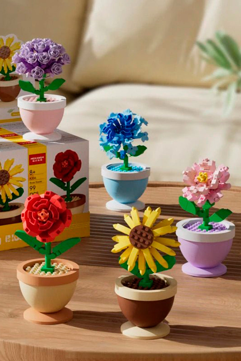 Potted Plants & Decorative Ornaments ☘️