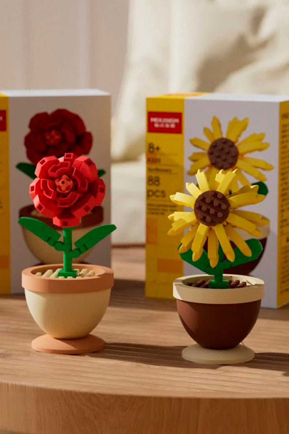 Potted Plants & Decorative Ornaments ☘️