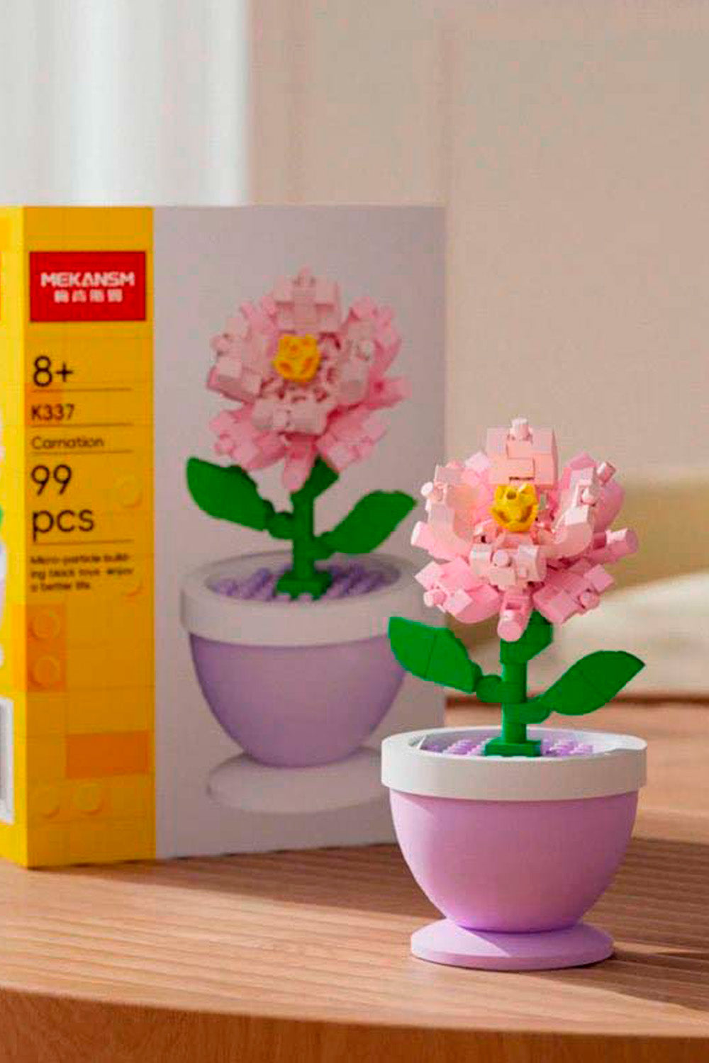 Potted Plants & Decorative Ornaments ☘️