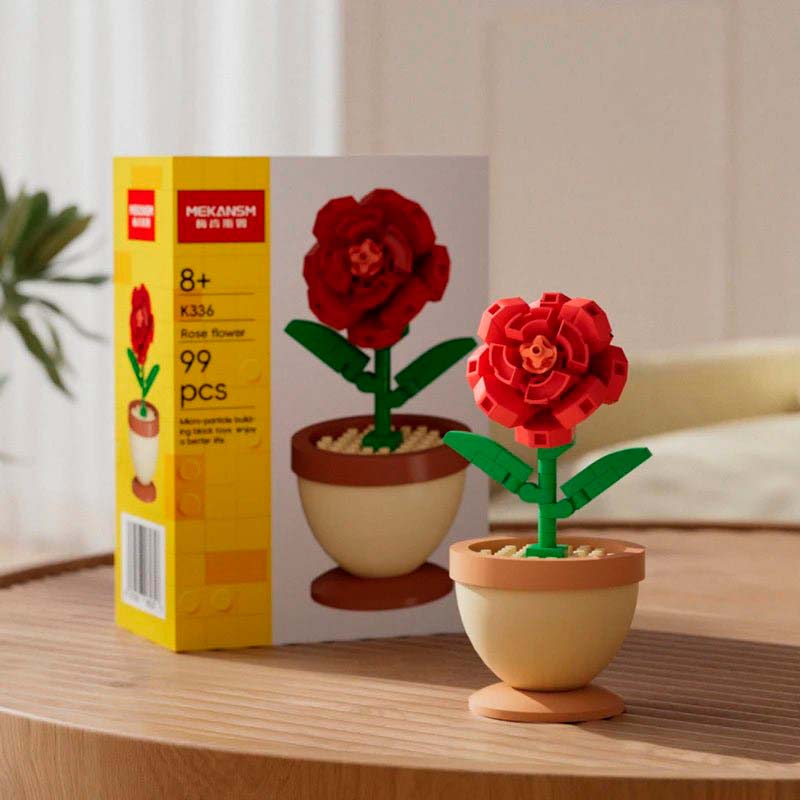 Potted Plants & Decorative Ornaments ☘️ - Lovegentilezza