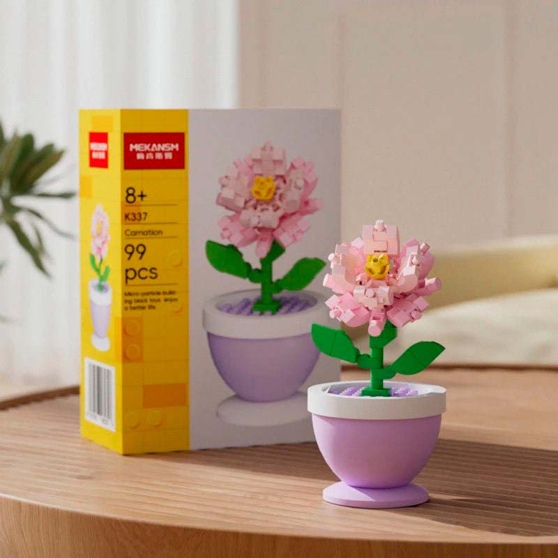 Potted Plants & Decorative Ornaments ☘️ - Lovegentilezza